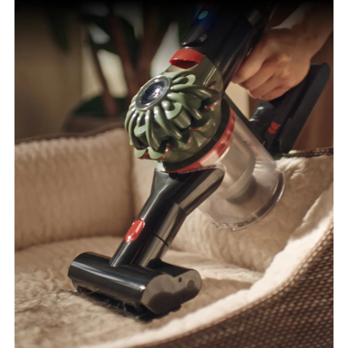 Le Dyson V8 Cyclone en aspirateur à main dans un panier pour chien