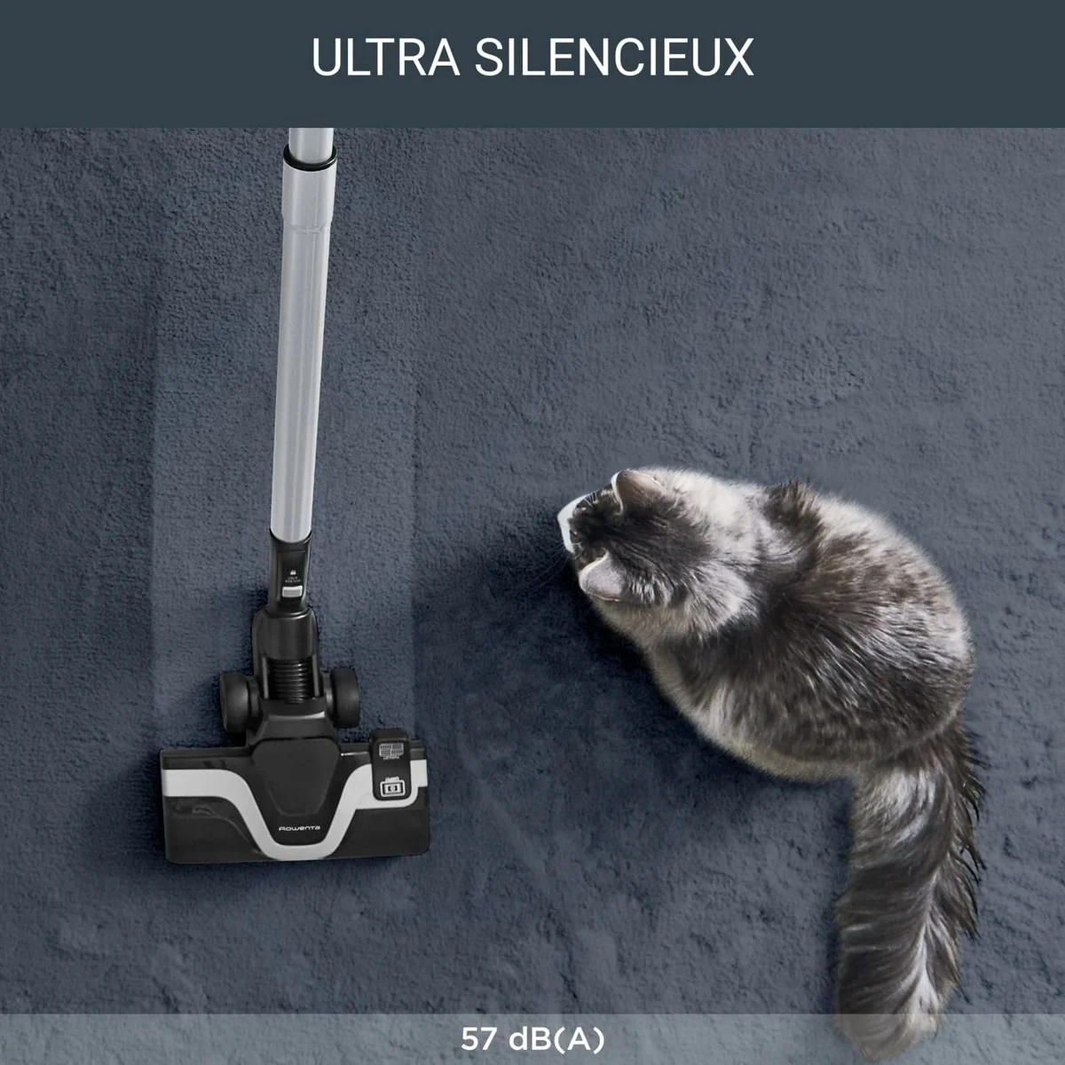Le Rowenta Silence Force passe près d’un chat, 57 dB(A)